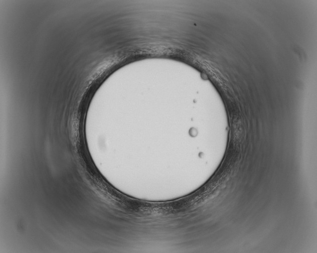 X0000111650679200908141252