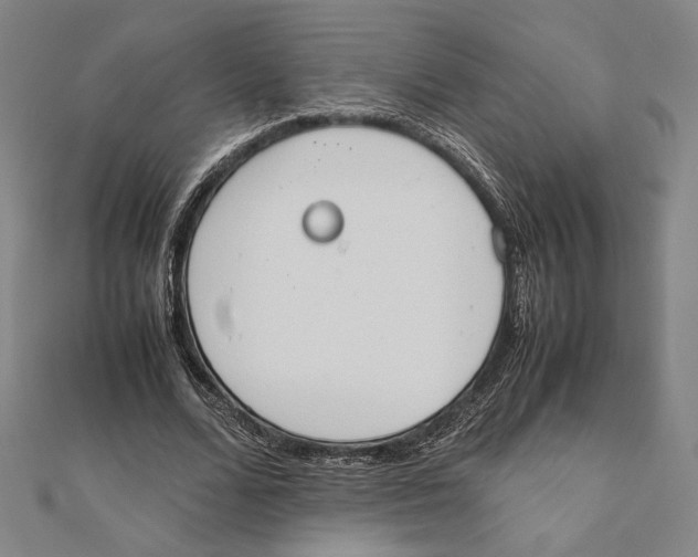 X0000111650680200908141252