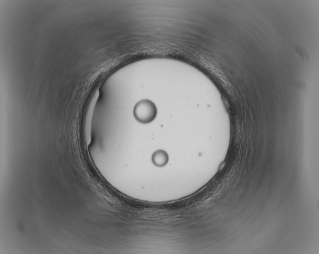 X0000111650681200908141252