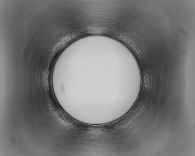 X0000111650682200908141252