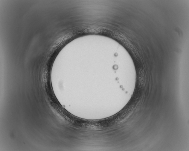 X0000111650683200908141252