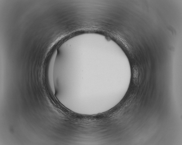 X0000111650684200908141252