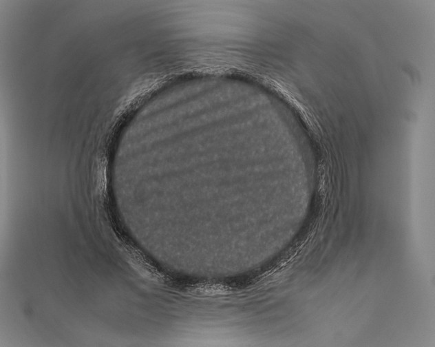 X0000111650685200908141252