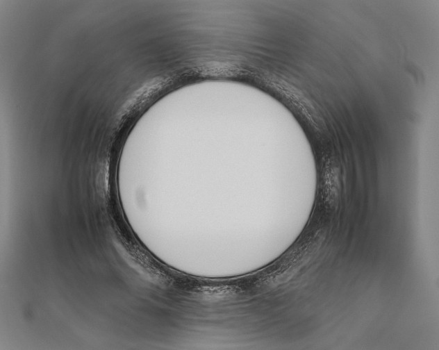 X0000111650686200908141252
