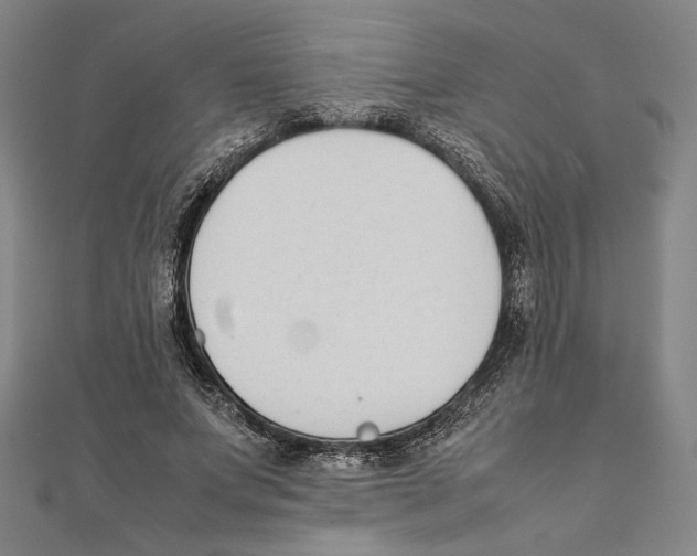 X0000111650687200908141252