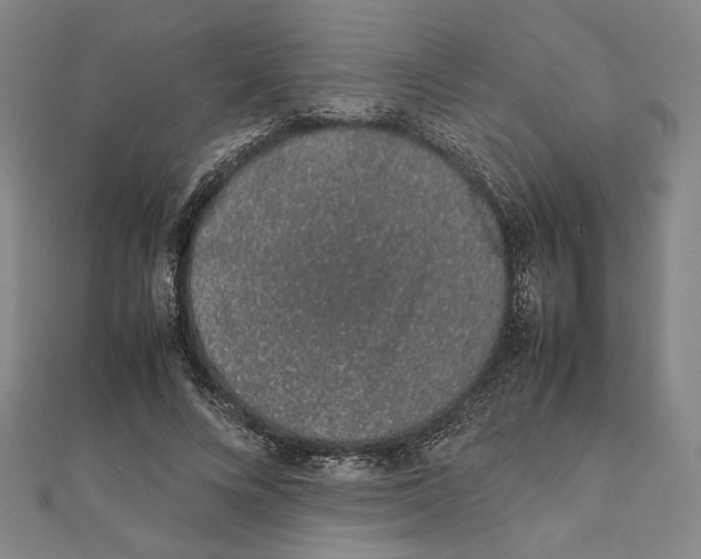 X0000111650688200908141252