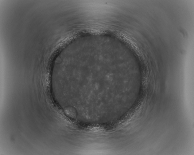 X0000111650689200908141252