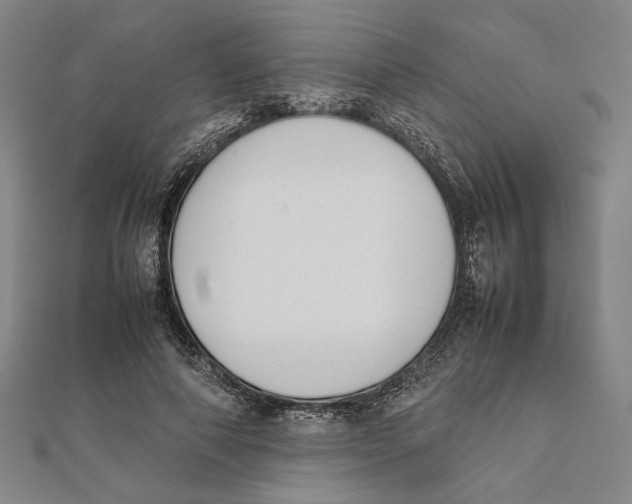 X0000111650690200908141252