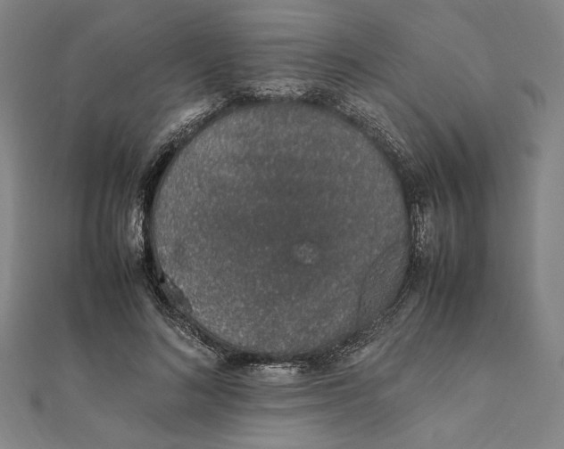 X0000111650692200908141252