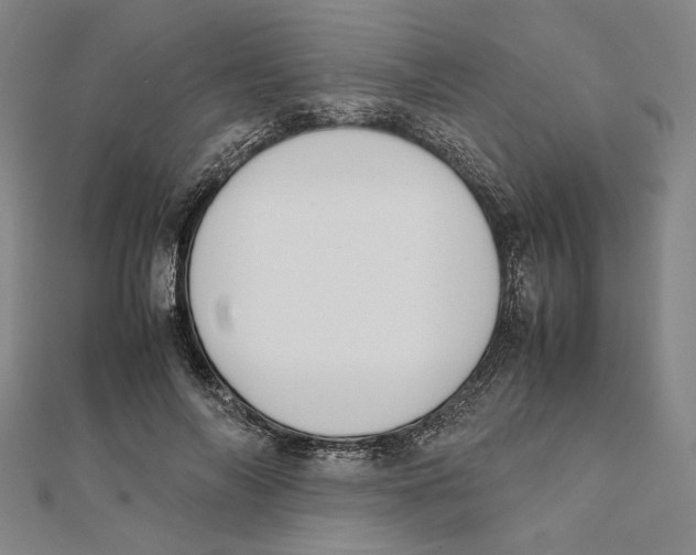 X0000111650694200908141252