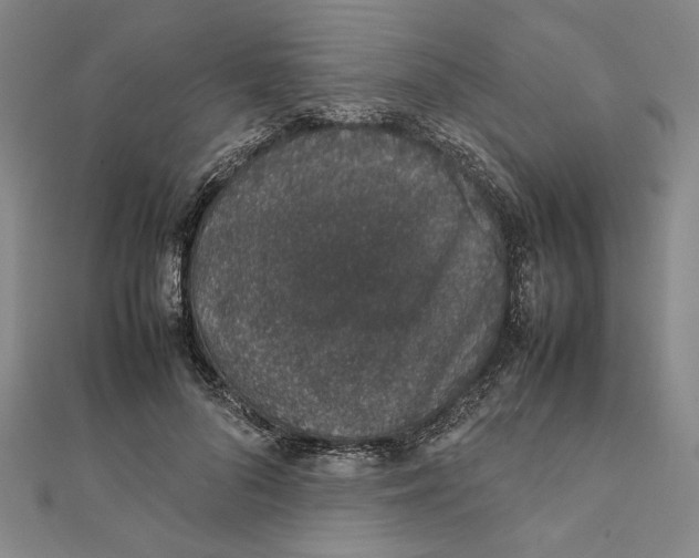 X0000111650696200908141252