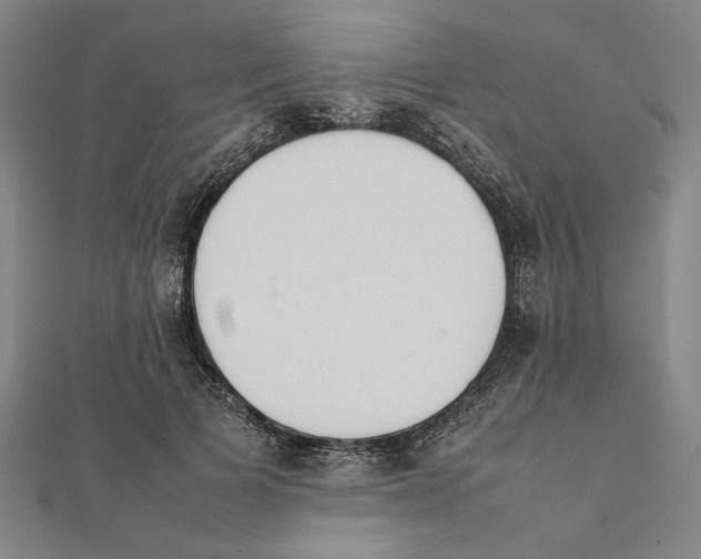 X0000111650697200908141252