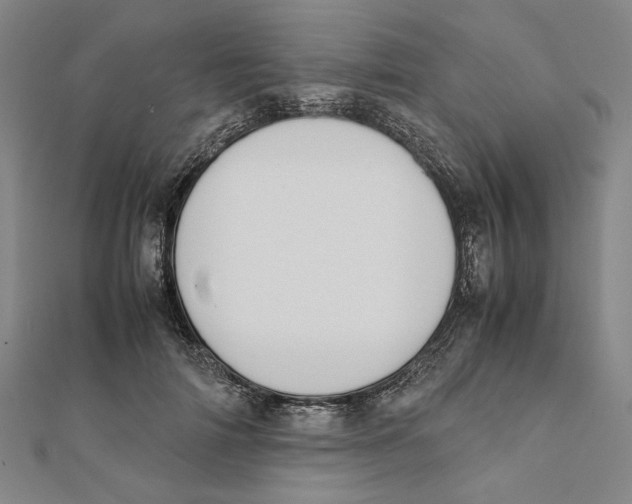 X0000111650698200908141252