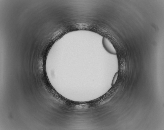 X0000111650700200908141252