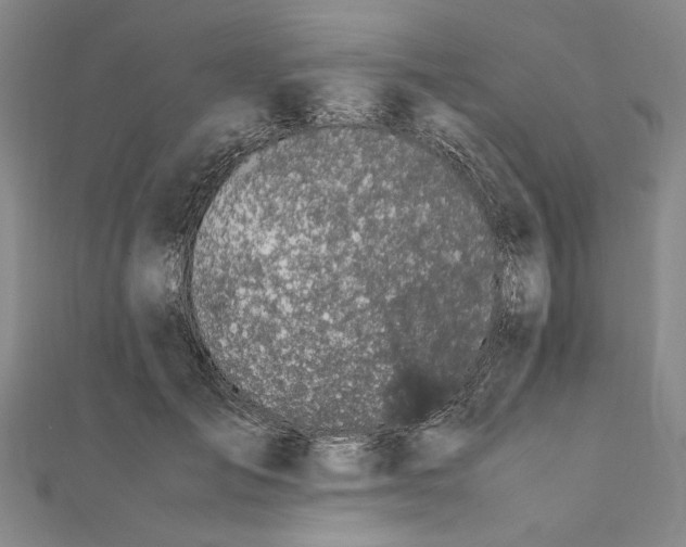 X0000111650701200908141252