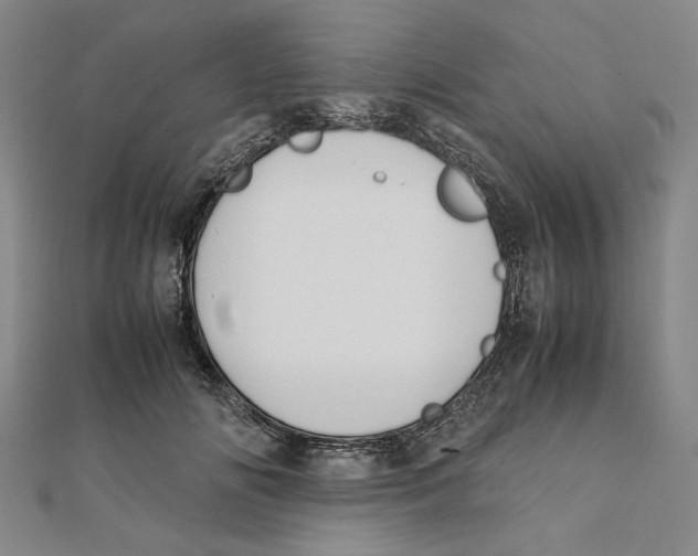 X0000111650702200908141252