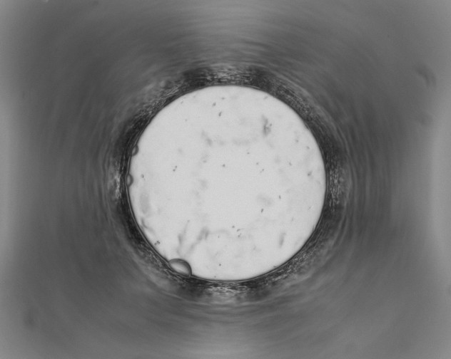 X0000111650703200908141252