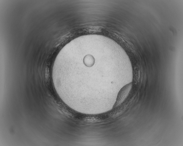 X0000111650704200908141252