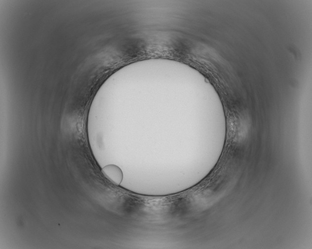 X0000111650705200908141252