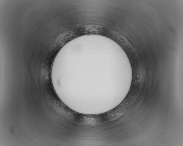 X0000111650706200908141252