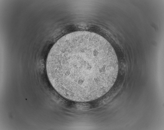 X0000111650707200908141252