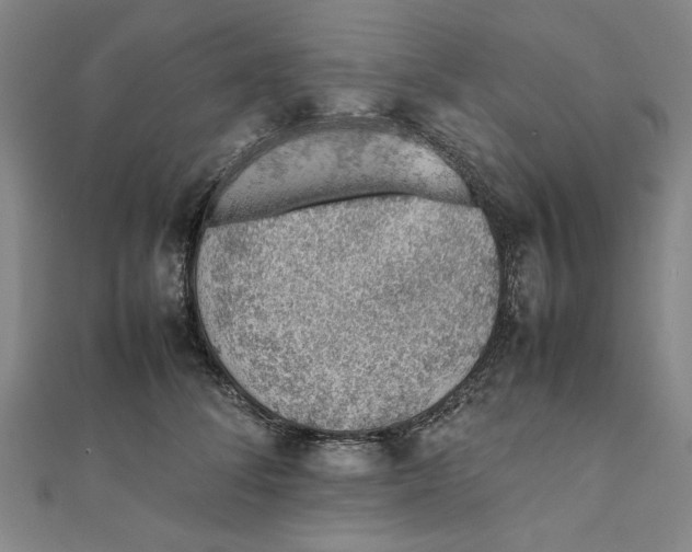 X0000111650708200908141252