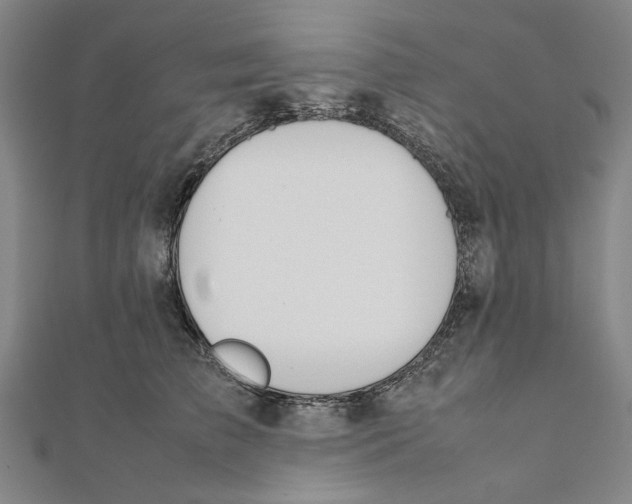 X0000111650709200908141252