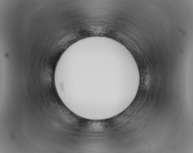 X0000111650710200908141252