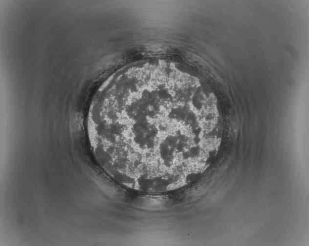 X0000111650711200908141252