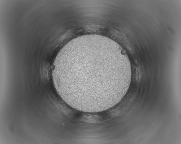 X0000111650712200908141252