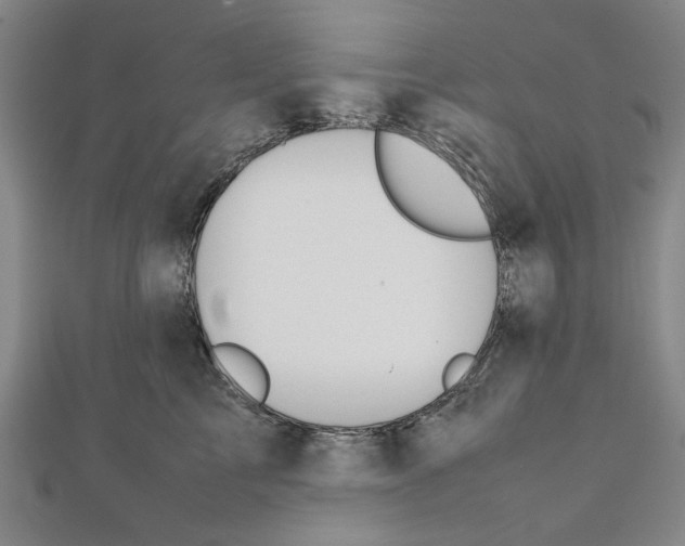 X0000111650713200908141252