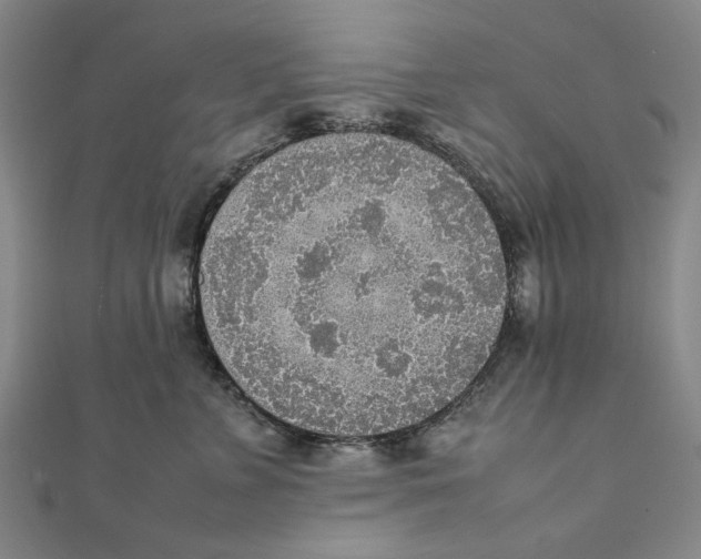 X0000111650715200908141252