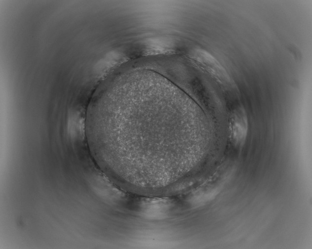 X0000111650716200908141252