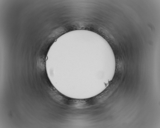 X0000111650719200908141252