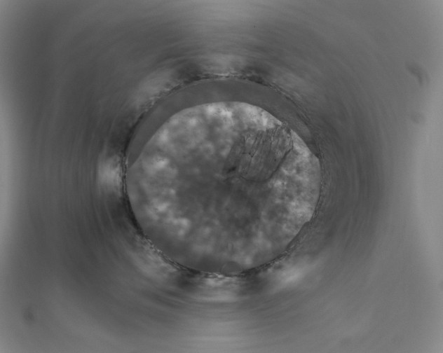X0000111650720200908141252