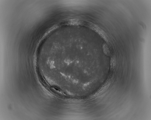 X0000111650722200908141251