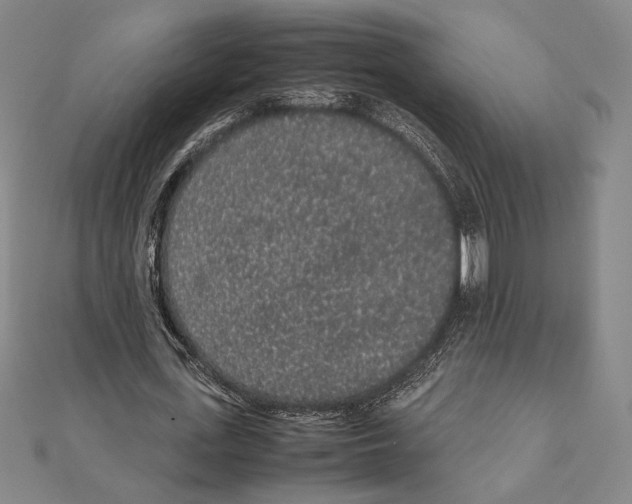 X0000111650723200908141251
