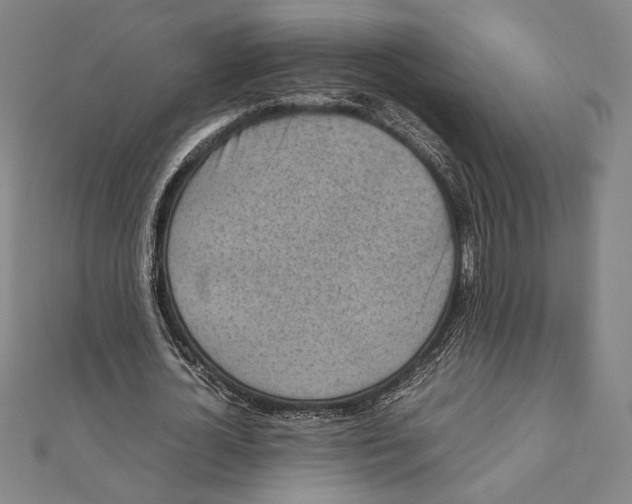 X0000111650724200908141251