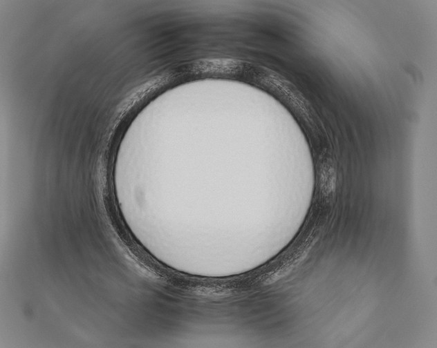 X0000111650725200908141251