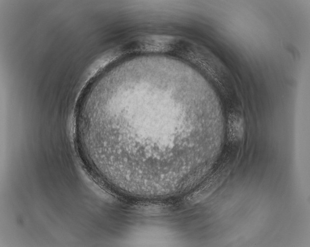 X0000111650726200908141251