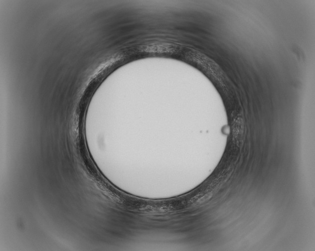 X0000111650727200908141251