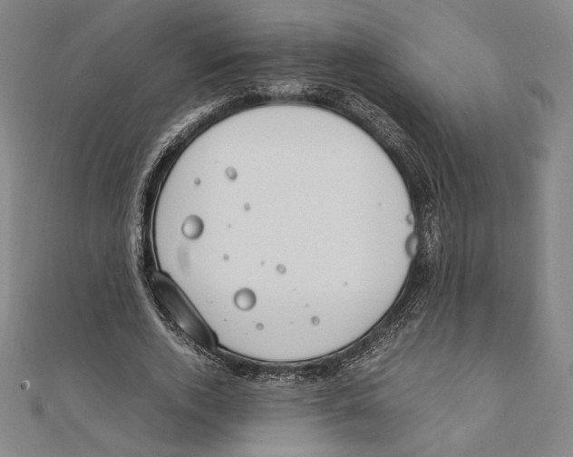 X0000111650728200908141251