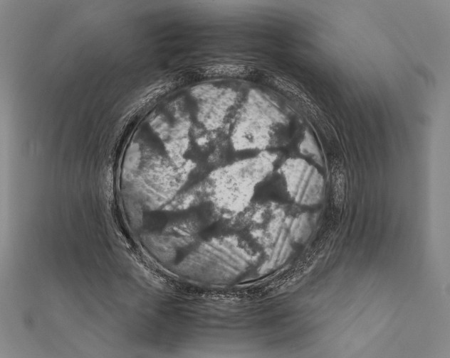 X0000111650729200908141251