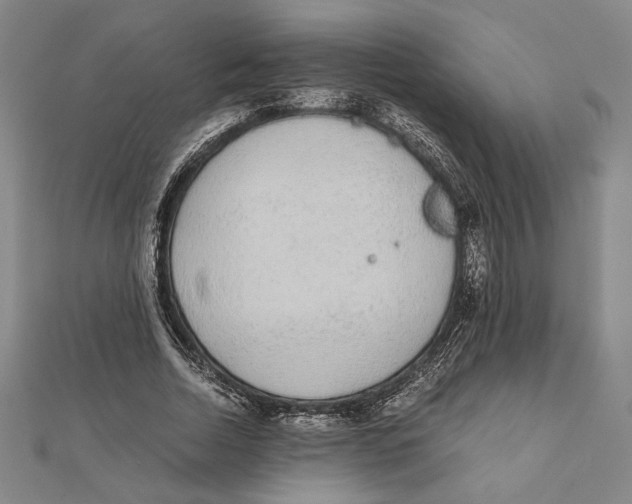X0000111650730200908141251