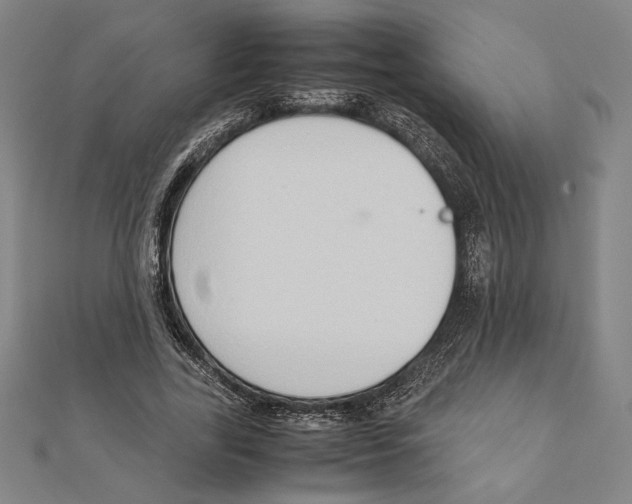 X0000111650731200908141251