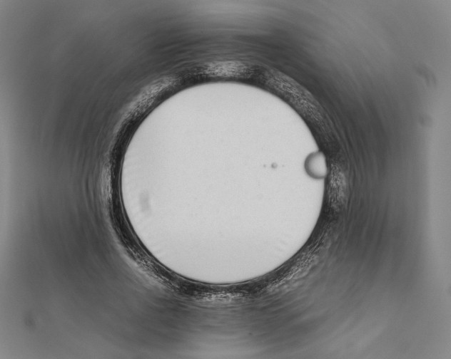 X0000111650734200908141251