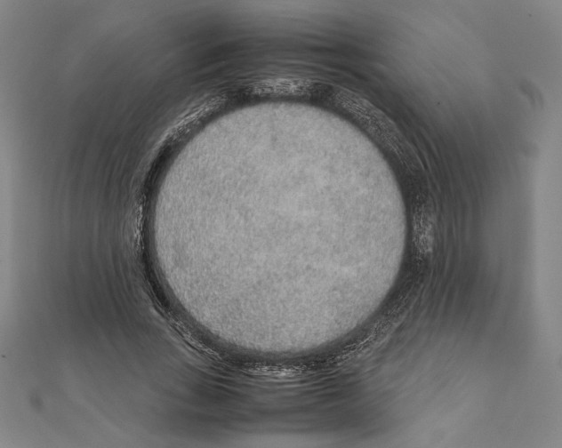 X0000111650735200908141251