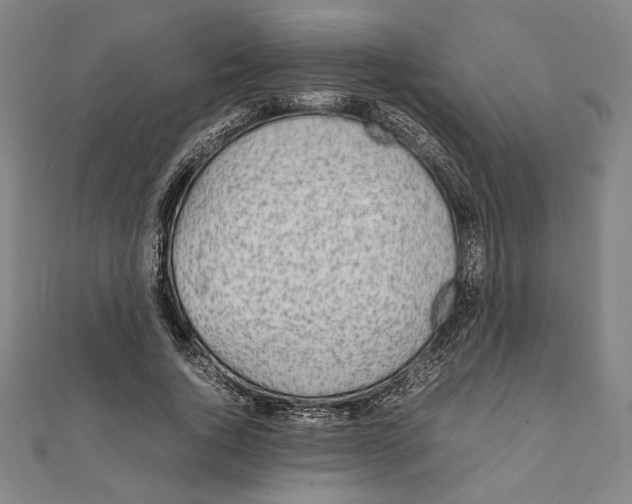 X0000111650736200908141251