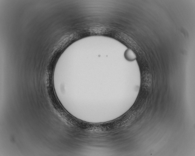 X0000111650738200908141251