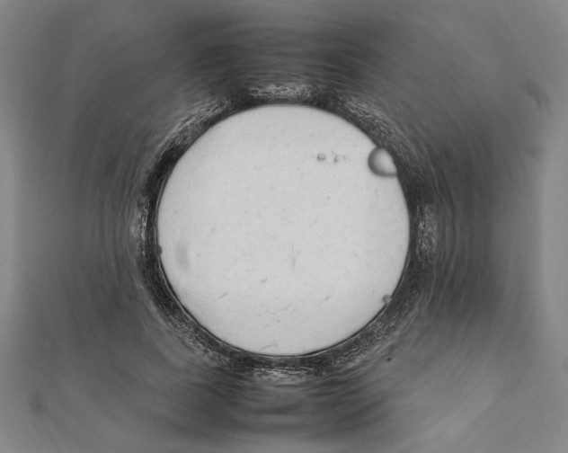 X0000111650739200908141251